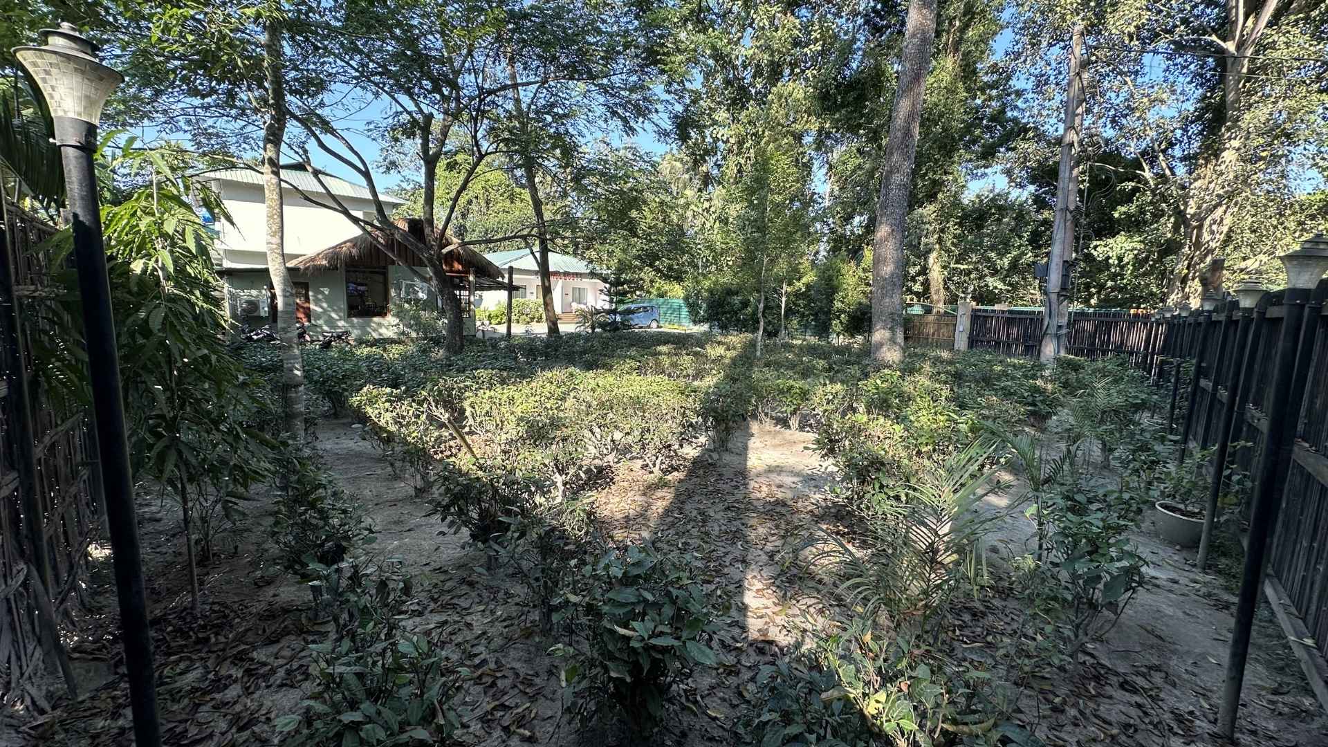 Jungleciti House Kaziranga hero image 8