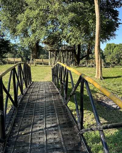 Bamboo bridge near Jungleciti House Kaziranga